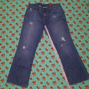 Express X2 Denim Laboratory Jeans